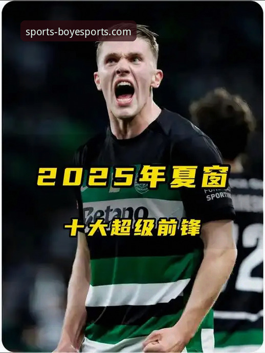 博业体育电脑版 2025夏季转会窗深度评测:德甲豪门布局与巨星动向全解析